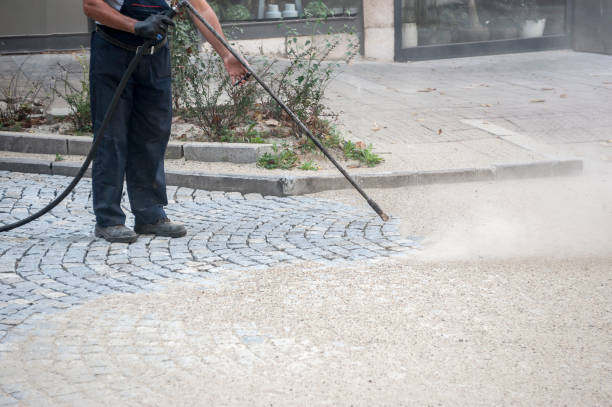 Animal Enclosure Cleaning in Riverwoods, IL